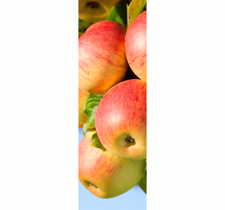 Kitchen roller blind decorative vinyl apple tree - TenStickers