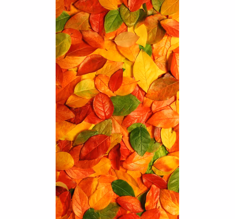 Kitchen roller blind autumn floor leaf vinyl - TenStickers