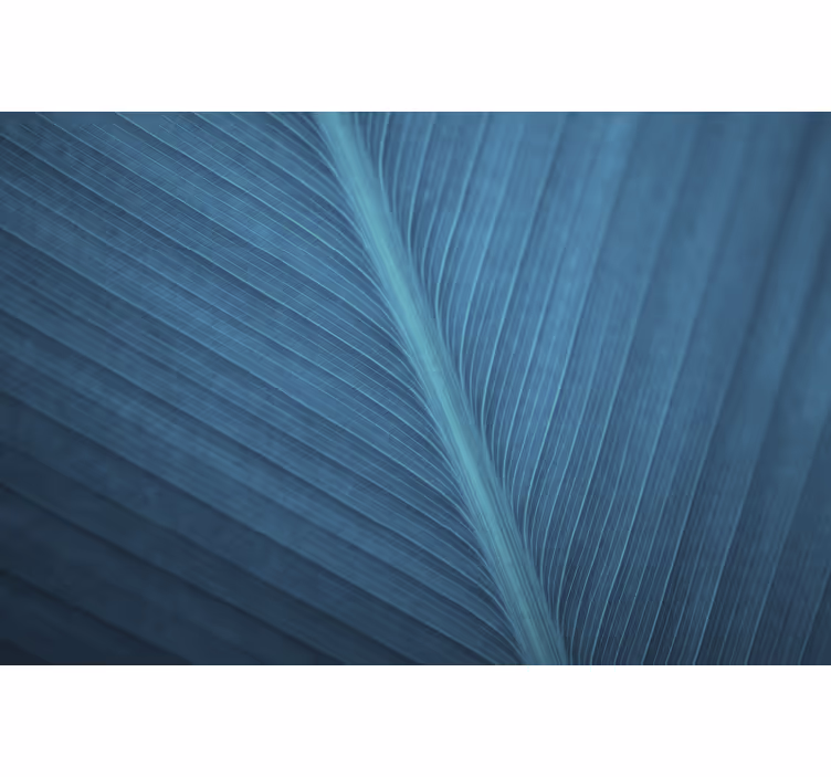 Blue roller blind with large blue grey leaf - TenStickers