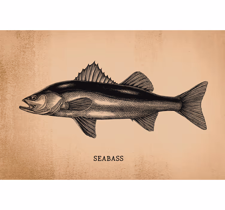 Beige roller blind realistic seabass drawing - TenStickers