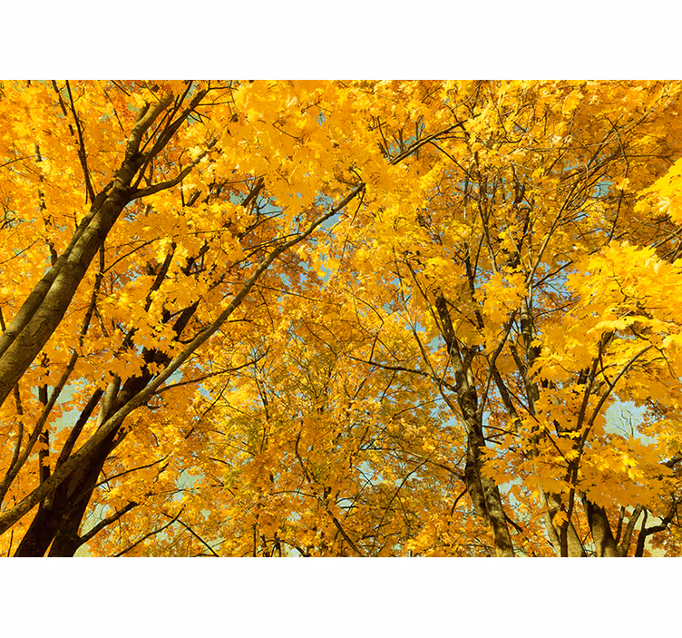 Bedroom roller blind in yellow autumn leaves - TenStickers