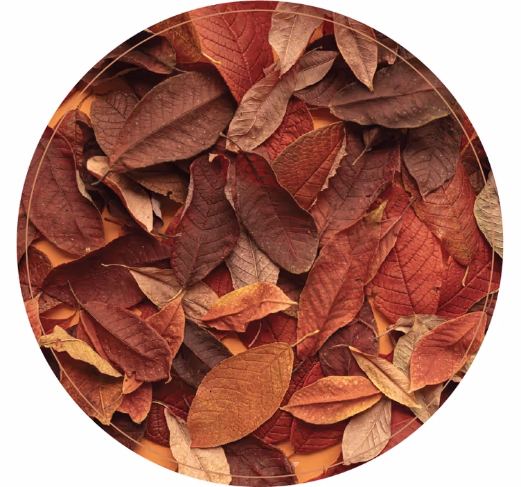 Bedroom roller blind in autumnal dark tones - TenStickers