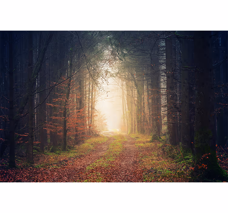 Living room roller blind autumn pathway - TenStickers