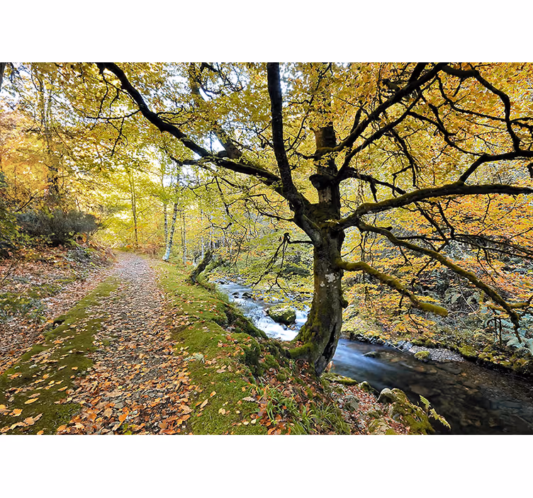 Living room roller blind muniellos forest and river - TenStickers