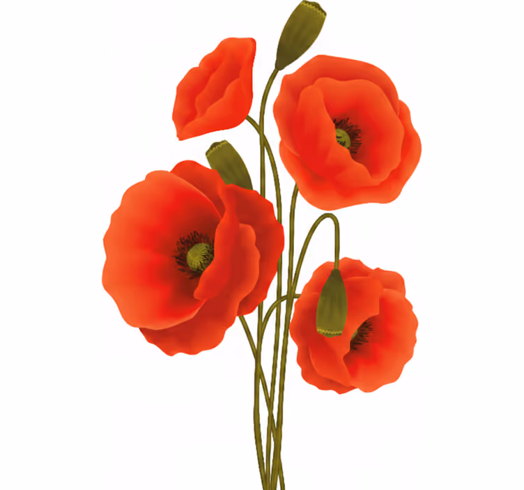 Poppies floral roller blind - TenStickers