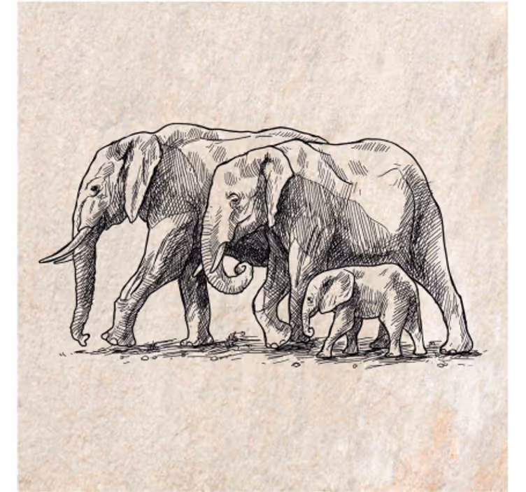Animal roller blind sketch of elephants - TenStickers
