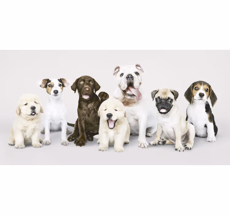 Animal roller blind featuring puppy photography - TenStickers