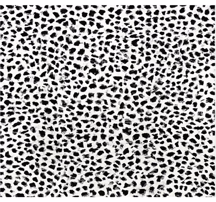 Black roller blind monochrome leopard design - TenStickers