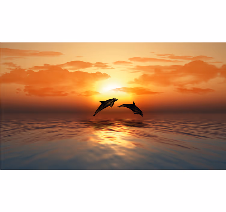 Bathroom roller blind 3d swimming dolphins - TenStickers