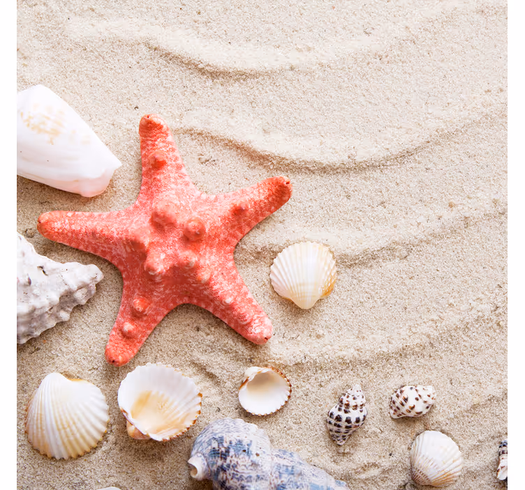 Bathroom roller blind with starfish and shells - TenStickers