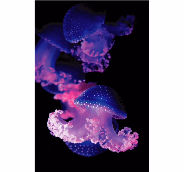Bathroom roller blind purple jellyfish - TenStickers