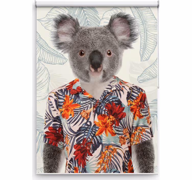 Teenage roller blind elegant koala - TenStickers