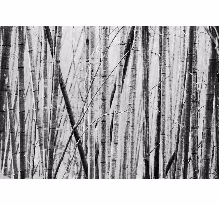 Rustic roller blind japandi gray bamboo fields - TenStickers