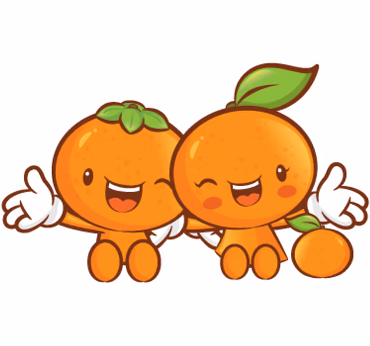Orange roller blind decorative vinyl mandarin pair - TenStickers