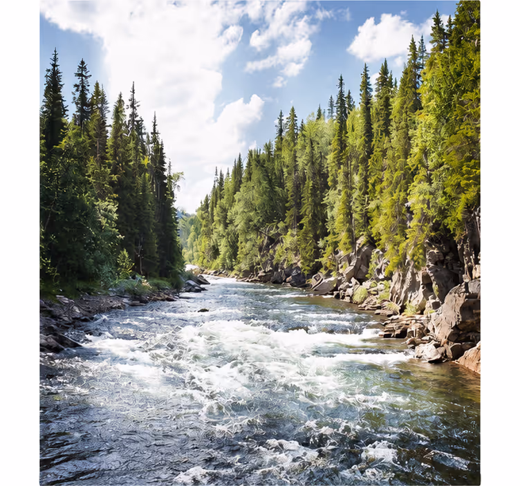 Living room roller blind forest lake design - TenStickers