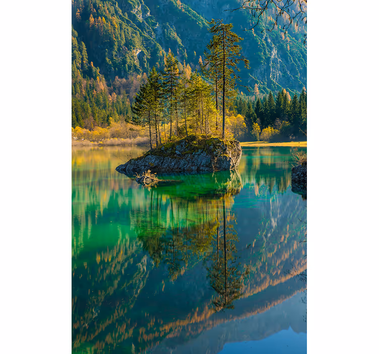 Reflected Tree Nature blind - TenStickers