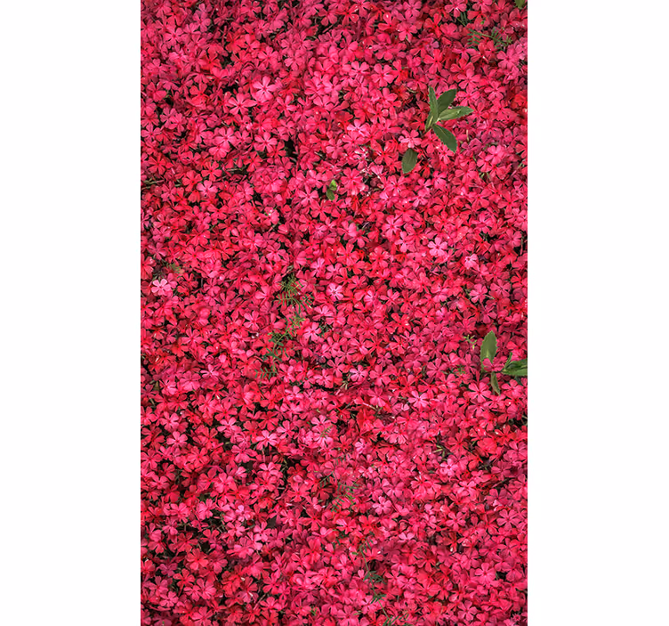 Vibrant Abundance roller blind flowers - TenStickers