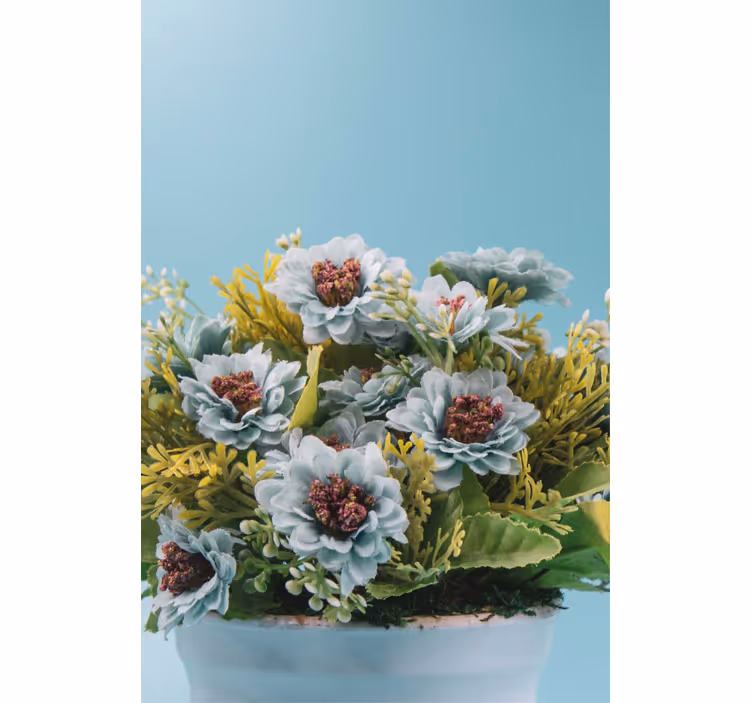 Succulent Arrangement roller blind flowers - TenStickers