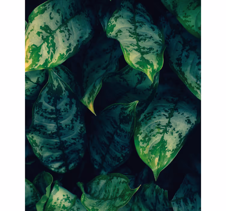 Vibrant green leaves roller blind flowers - TenStickers