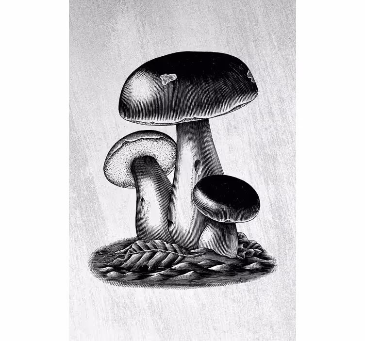 Engraved black mushrooms Kitchen blind - TenStickers