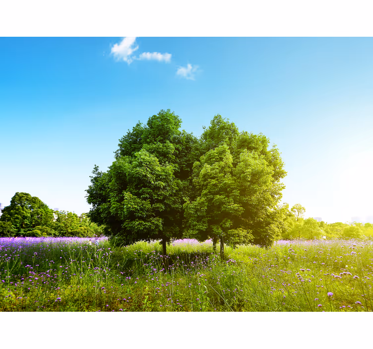Tall spring tree  Living room blind - TenStickers