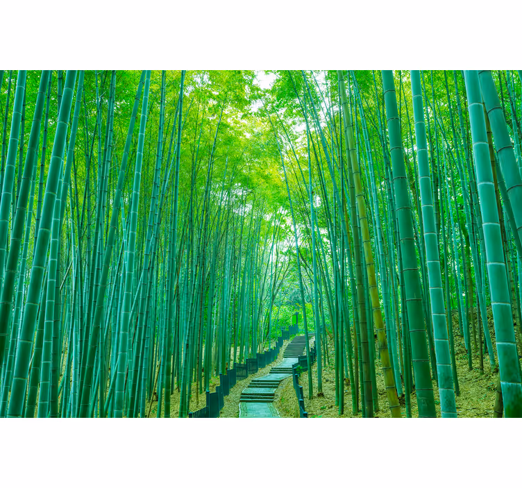 Lush Bamboo Path tree roller blind - TenStickers