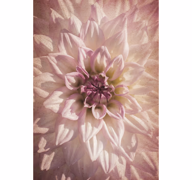 Delicate bloom roller blind flowers - TenStickers