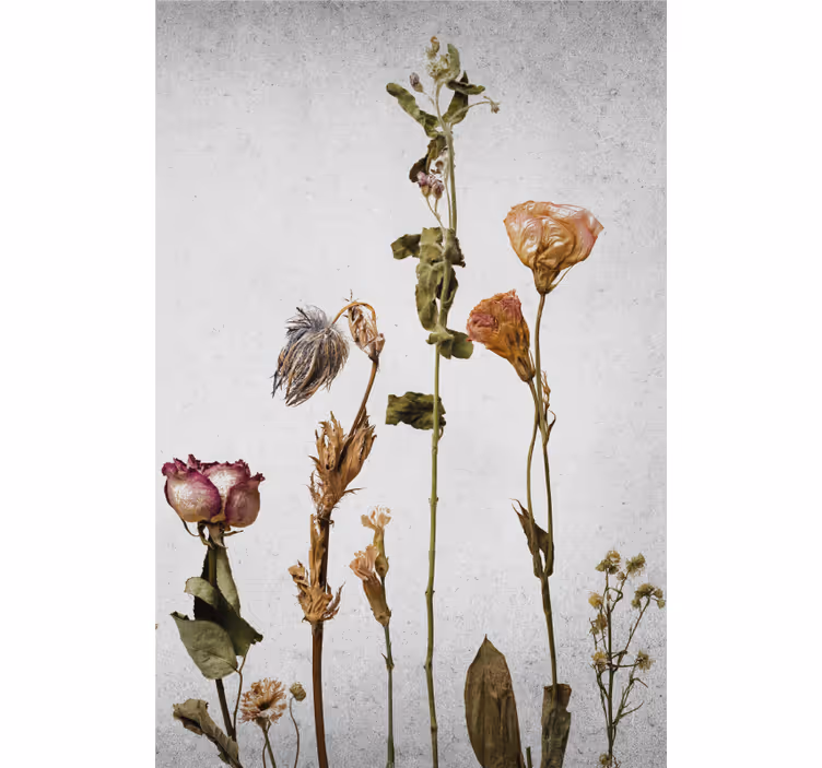 Dried Flower Arrangement roller blind flowers - TenStickers