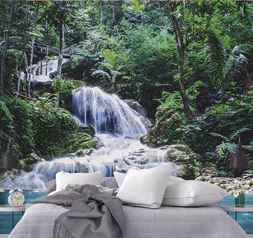 Wall Murals