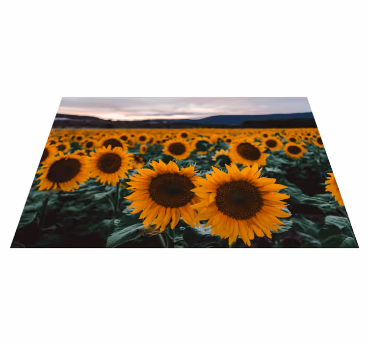 Original placemat sunflower field landscape - TenStickers