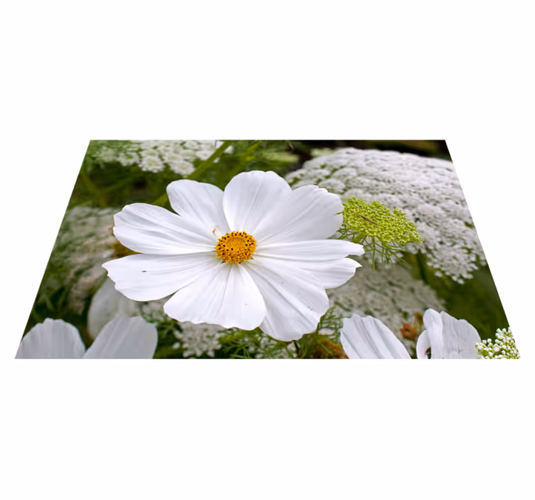 Original placemat elegant white blossom - TenStickers