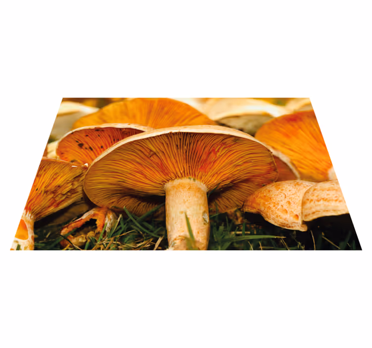 Original placemat mushrooms with ramen - TenStickers