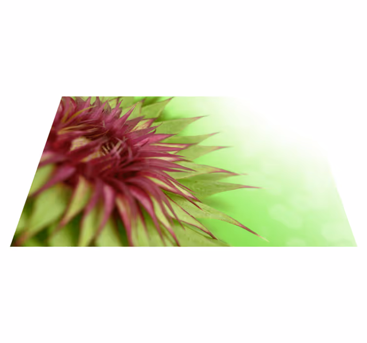 Thistle prickly flowering placemat - TenStickers