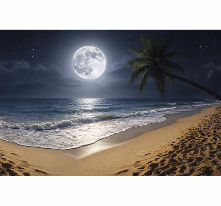 Sea animals wall mural full moon ocean - TenStickers