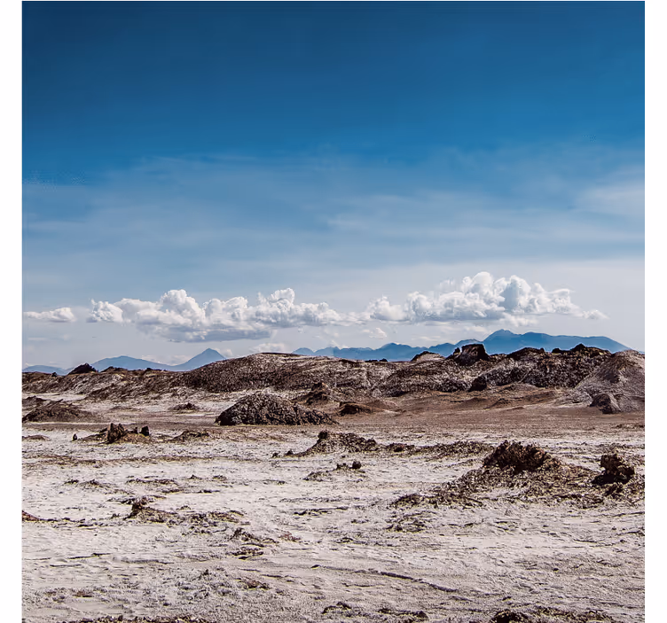 Desert wall mural in warm desert aesthetic colours - TenStickers