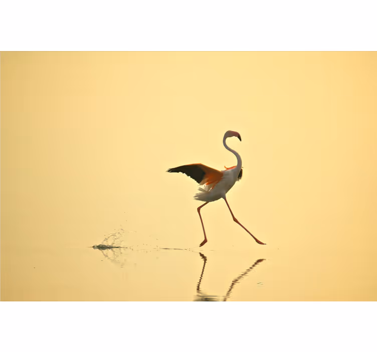 Yellow wall mural with playful running flamingos - TenStickers