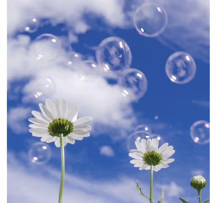 Blue wall mural with daisy flowers and bubbles - TenStickers