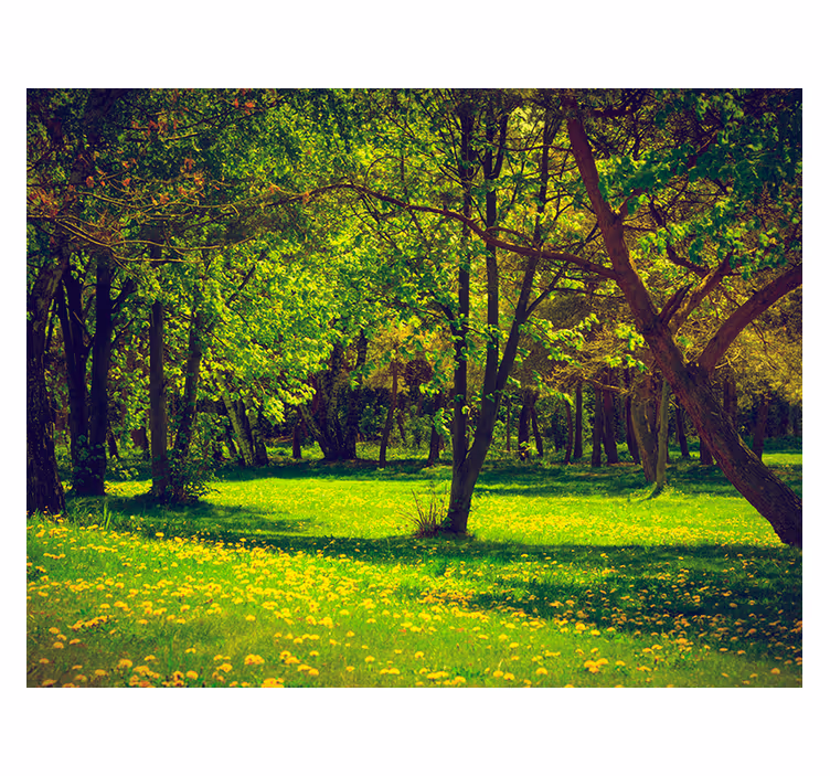 Green wall mural serene forest scene - TenStickers