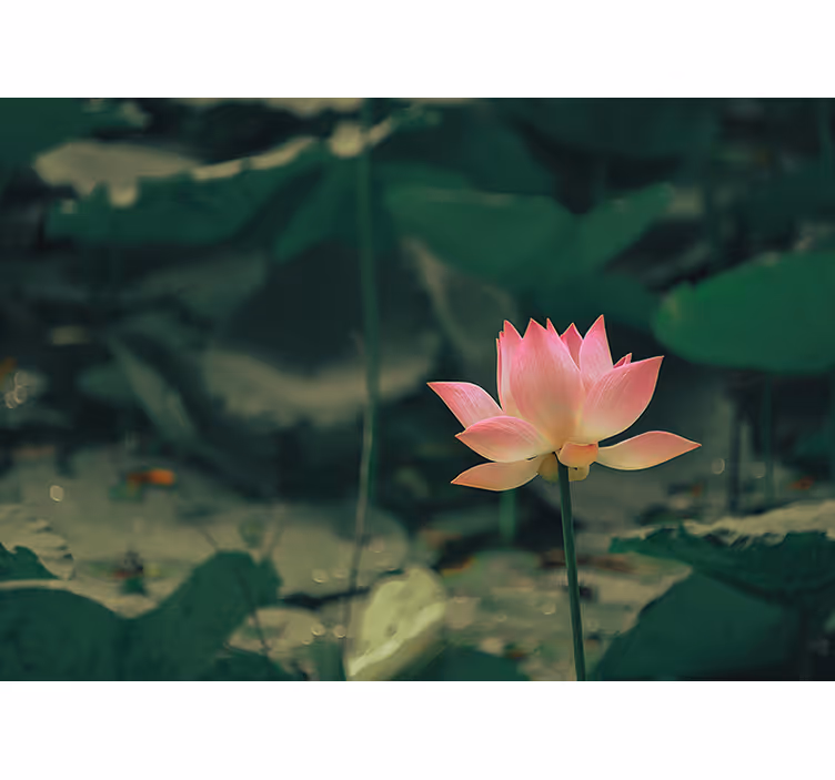 Green wall mural pink flower design - TenStickers