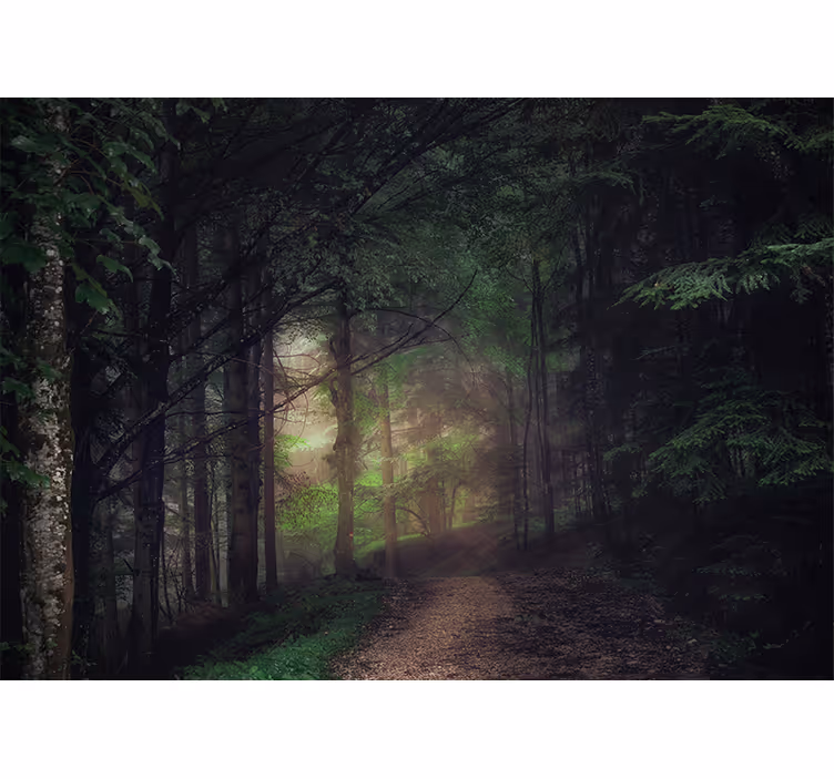 Hallway mural old-growth forest scene - TenStickers