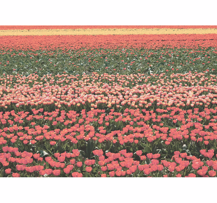 Hallway mural unique flower field design - TenStickers