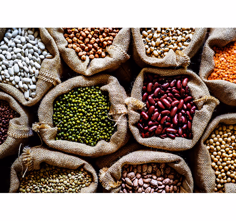 Different pulses Kitchen Wall Mural - TenStickers