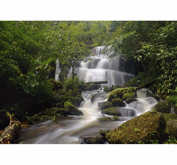 Forest and waterfalls Wall Mural - TenStickers