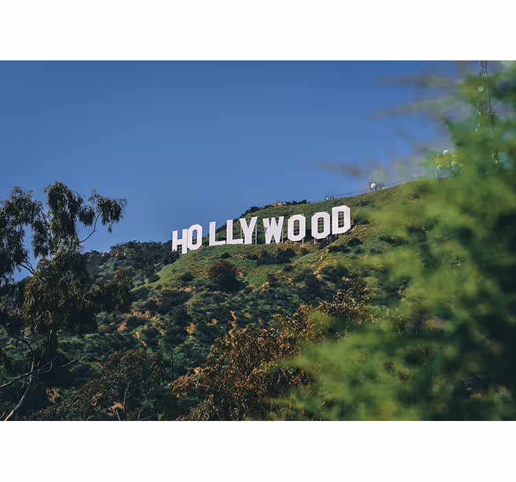 Hollywood Sign wall mural - TenStickers