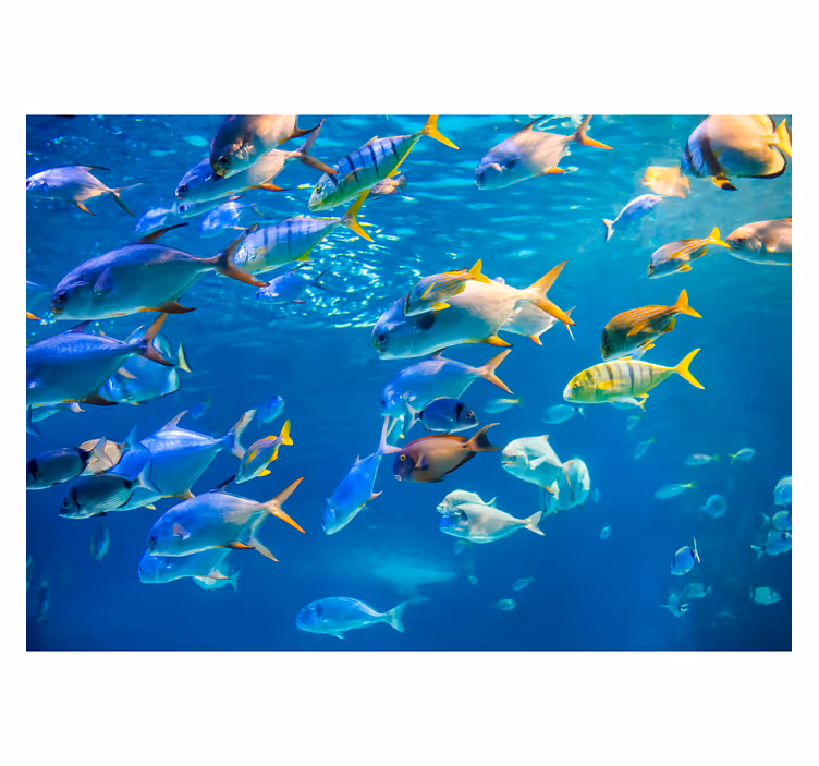 Animal wall mural underwater fish schooling - TenStickers