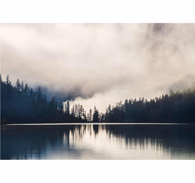 Trees and reflections on water lake wall mural - TenStickers