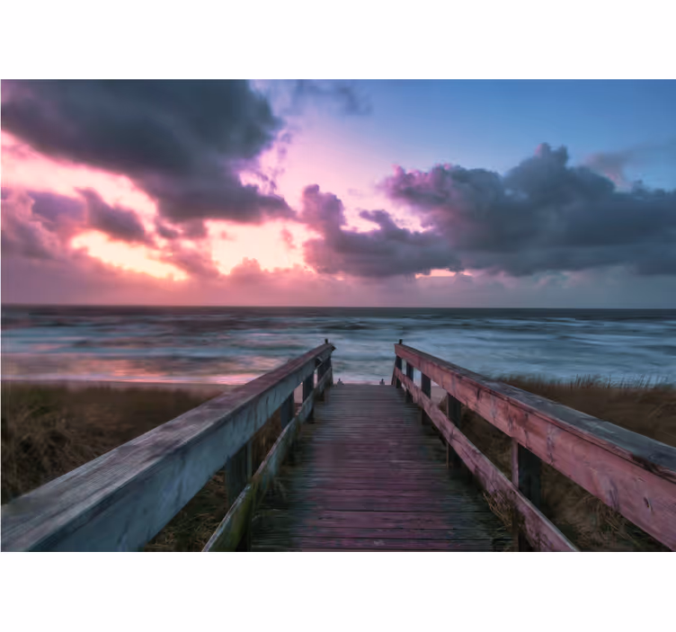 Serene cloudy sunset sea animals wall mural - TenStickers