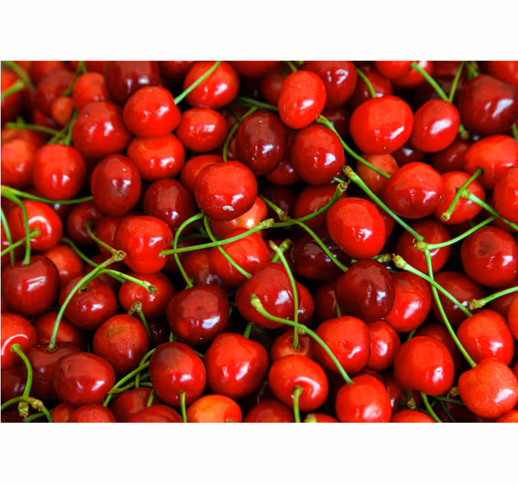 Flower wall mural ripe cherry bunches - TenStickers