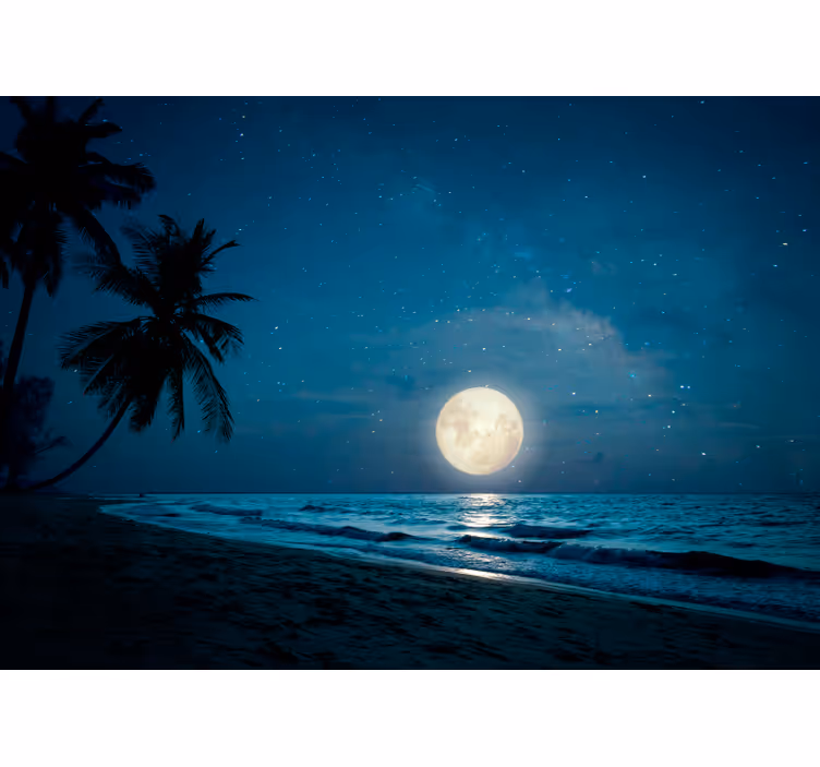 Moonlit Ocean Scene nature wall mural - TenStickers