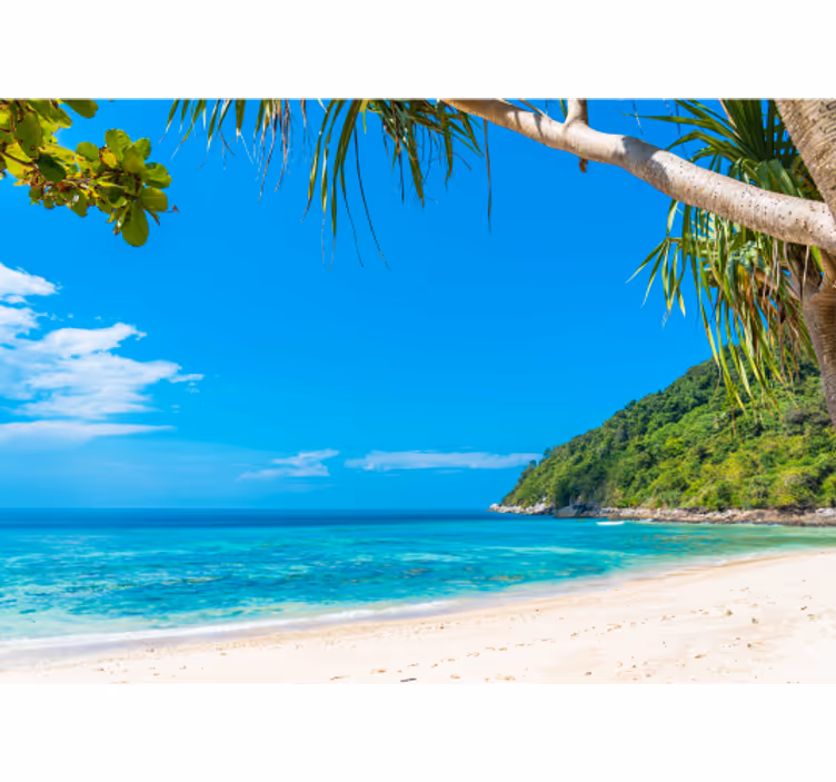 Tropical Coastal Landscape sea animals wall mural - TenStickers
